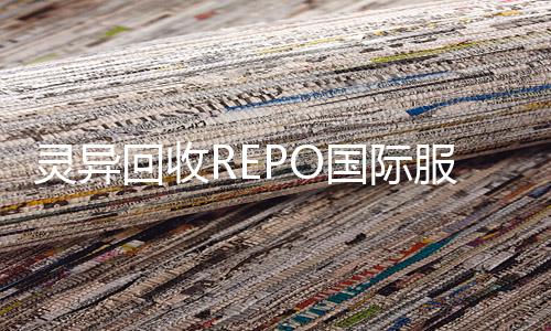 灵异回收REPO国际服