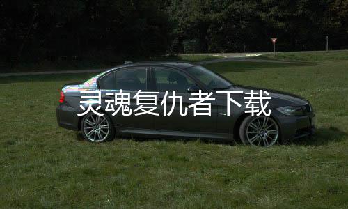 灵魂复仇者下载