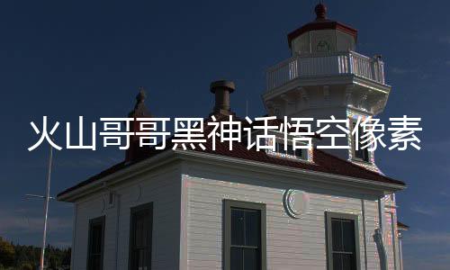 火山哥哥黑神话悟空像素版