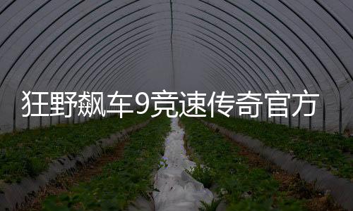 狂野飙车9竞速传奇官方版