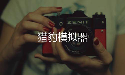 猎豹模拟器