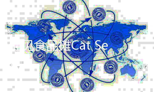猫见食品摊Cat SeeFood Stall官方版中文版