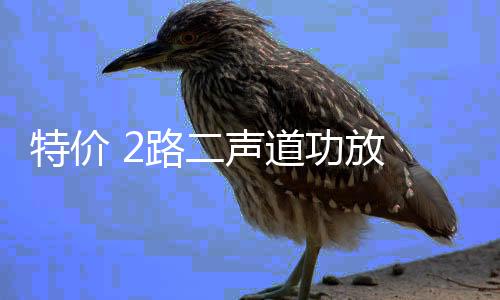 特价 2路二声道功放 汽车音响改装功放发烧车载功放推低音炮喇叭