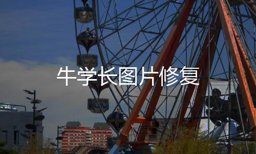 牛学长图片修复