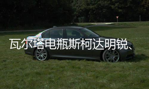 瓦尔塔电瓶斯柯达明锐、晶锐、速派、昕锐、野帝L2-400汽车蓄电池