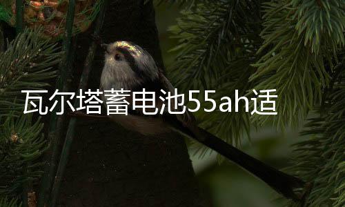 瓦尔塔蓄电池55ah适配别克凯越指南者雪佛兰乐风景程汽车电瓶
