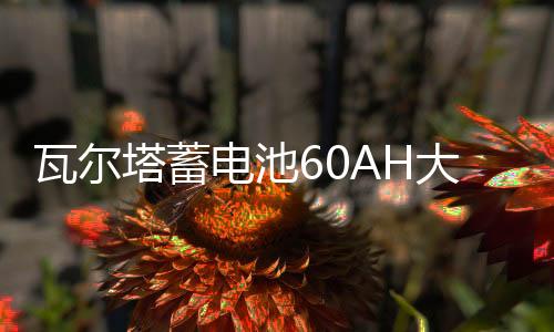瓦尔塔蓄电池60AH大众朗逸速腾捷达途观夏朗POLO迈腾原装汽车电瓶