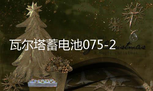 瓦尔塔蓄电池075-20适配途观迈腾帕萨特凯迪拉克汽车电瓶 银标