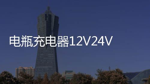 电瓶充电器12V24V汽车船用货车智能纯铜大功率充满自停水电瓶通用