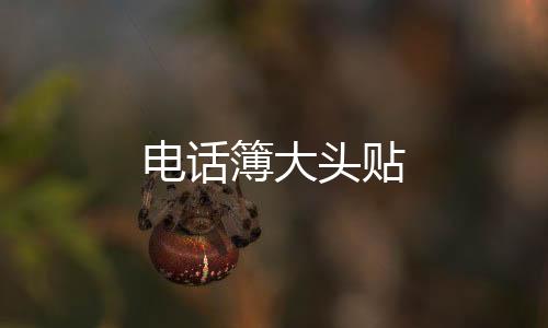 电话簿大头贴