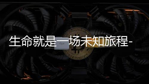 生命就是一场未知旅程-宝软3D主题
