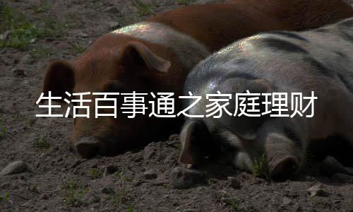 生活百事通之家庭理财