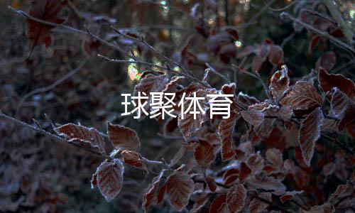 球聚体育