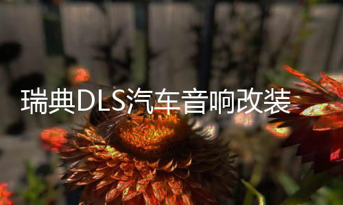 瑞典DLS汽车音响改装6.5寸套装喇叭进口发烧炸街低音喇叭功放主推