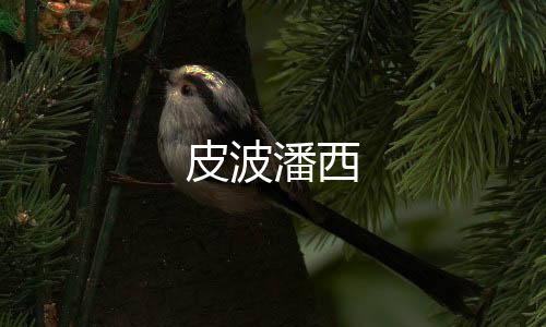 皮波潘西