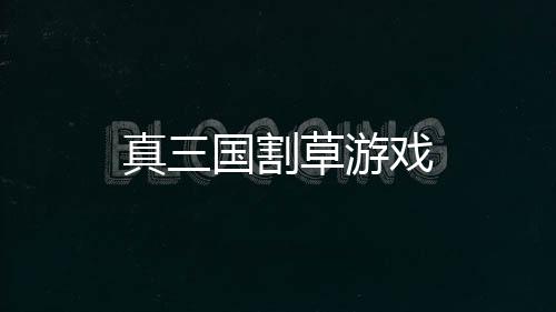 真三国割草游戏