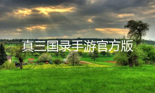 真三国录手游官方版
