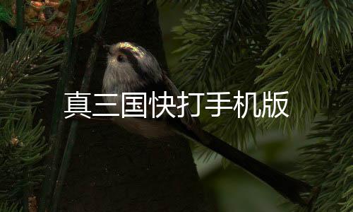 真三国快打手机版