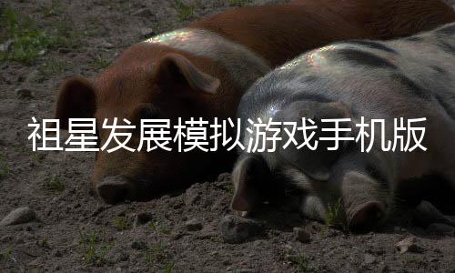 祖星发展模拟游戏手机版