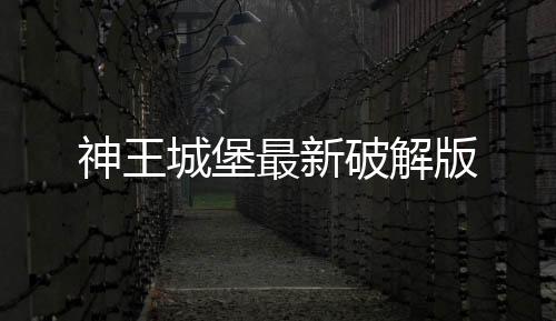 神王城堡最新破解版