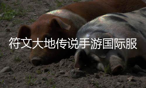 符文大地传说手游国际服LoR