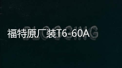 福特原厂装T6-60Ah适配福克斯福睿斯蒙迪欧致胜锐界翼虎汽车电瓶