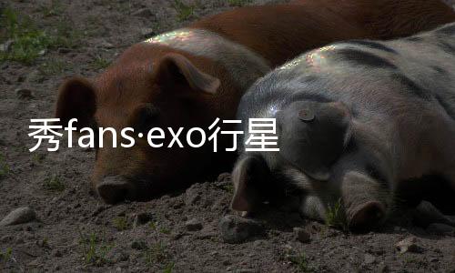 秀fans·exo行星饭主题桌面