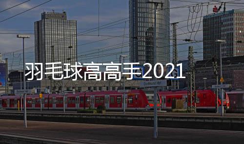 羽毛球高高手2021
