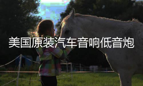 美国原装汽车音响低音炮D类数字单路功放1500W双音圈大功率功放板