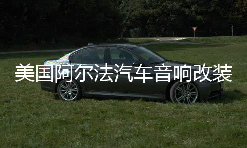 美国阿尔法汽车音响改装发烧12寸10寸超重双音圈无源低音炮喇叭