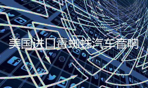 美国进口毒蜘蛛汽车音响改装套装飞度6.5寸套装喇叭四门高低音DSP