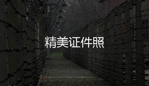 精美证件照