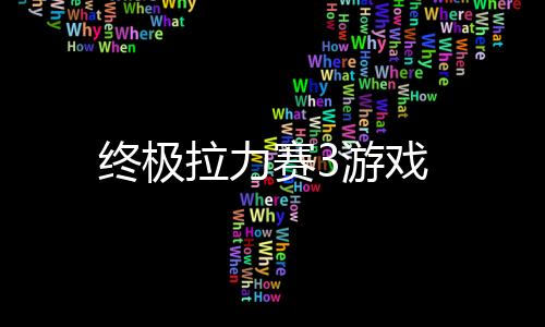 终极拉力赛3游戏