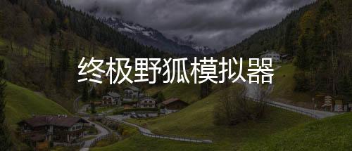 终极野狐模拟器
