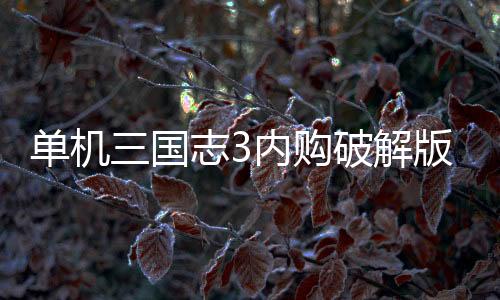 单机三国志3内购破解版