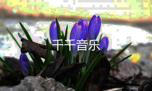 千千音乐