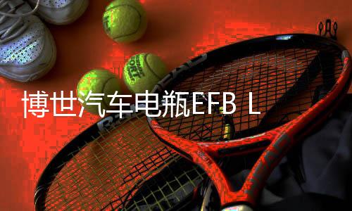 博世汽车电瓶EFB LN3适用奥迪明锐雪铁龙标致翼虎维护启停蓄电池