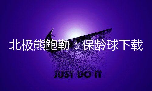 北极熊鲍勒：保龄球下载