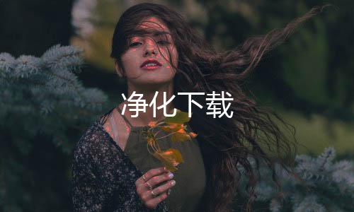 净化下载