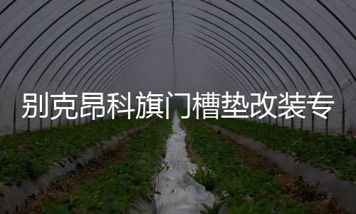 别克昂科旗门槽垫改装专用内饰装饰汽车用品配件22款2022杯垫饰品
