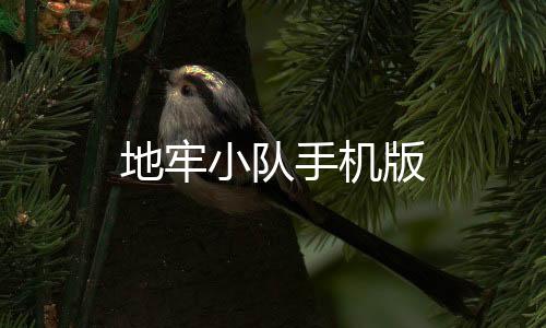 地牢小队手机版