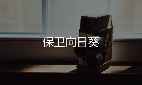 保卫向日葵