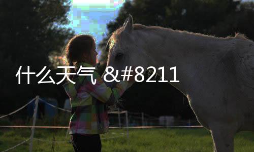 什么天气 – Widget小组件