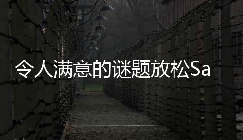令人满意的谜题放松Satisfying Puzzle: Relaxation安卓版