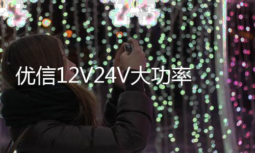 优信12V24V大功率货车卡车电瓶充电器12V汽车电瓶充电机船舶电池