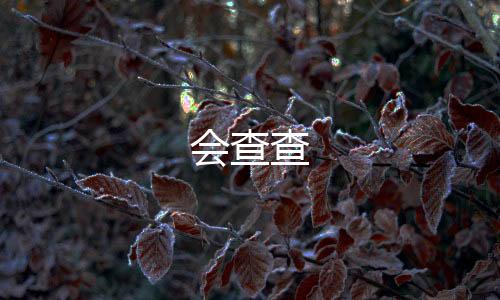 会查查