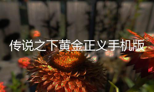 传说之下黄金正义手机版