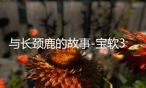 与长颈鹿的故事-宝软3D主题
