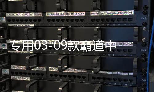 专用03-09款霸道中网改装 普拉多中网饰条亮条装饰 配件 彩条