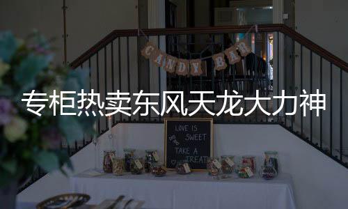 专柜热卖东风天龙大力神天锦汽车货车驾驶室座椅弹簧海绵坐垫总成